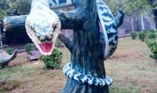 洛阳亚龙湾水上乐园 洛阳亚龙湾水上乐园